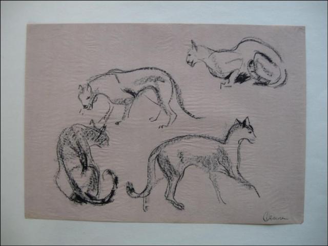 Дикие кошки (наброски)